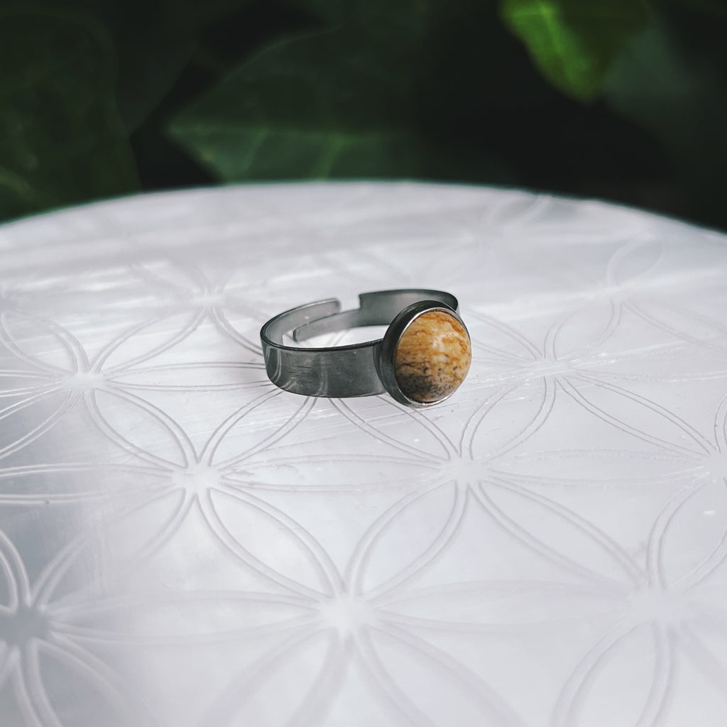 (1) Picture Jasper Stainless Steel Adjustable Ring