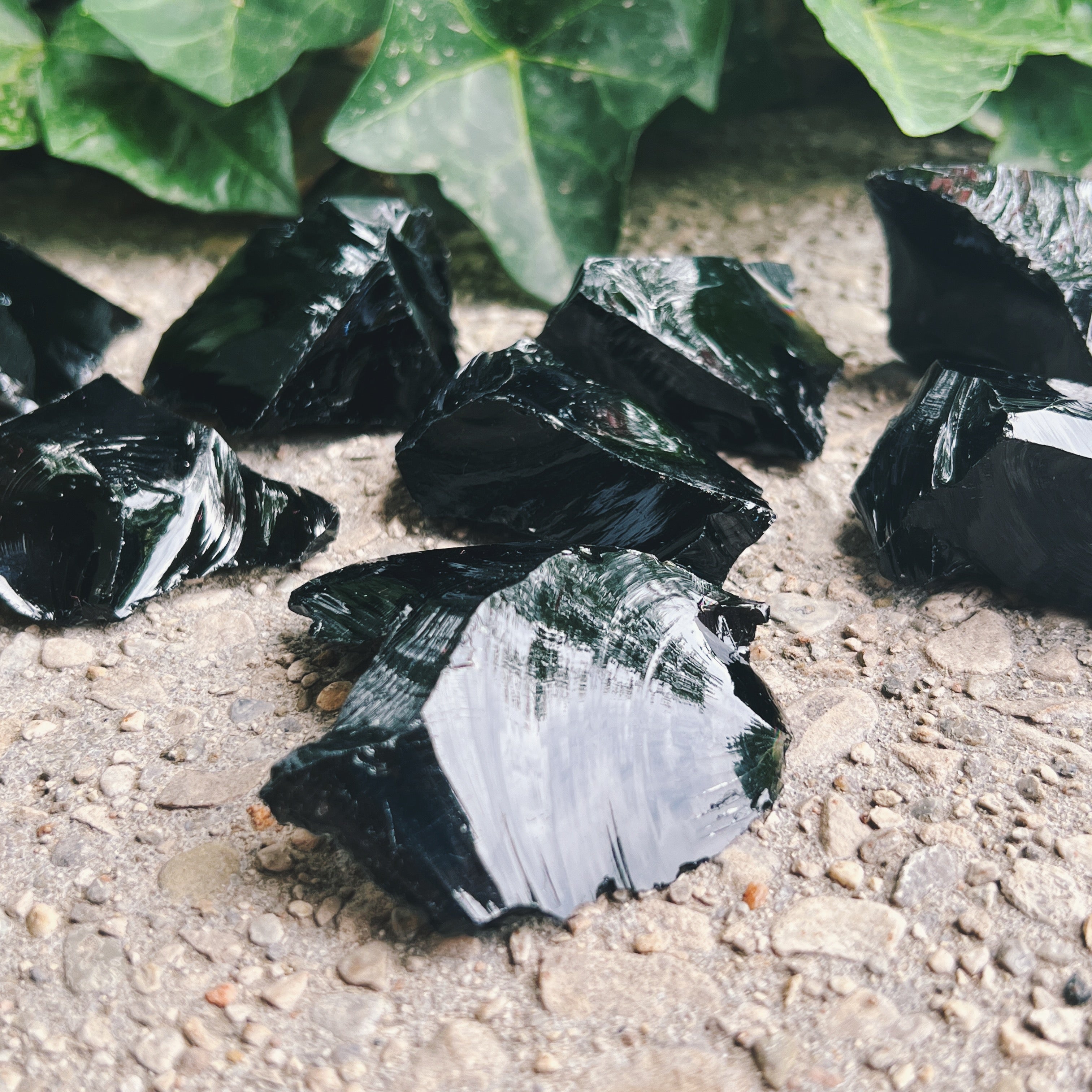 (1) Obsidian Raw