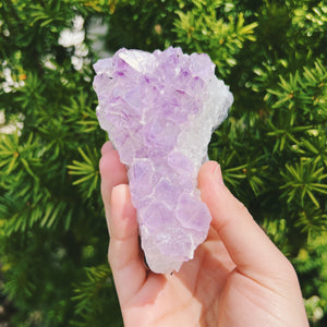 Amethyst Cluster (With Some Druzy)