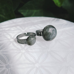 (1) Labradorite Stainless Steel Adjustable Ring