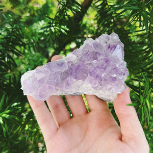 Amethyst Cluster (With Some Druzy)